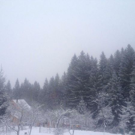Forest Vibes Cîmpu lui Neag Eksteriør billede