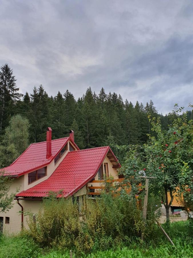 Forest Vibes Cîmpu lui Neag Eksteriør billede