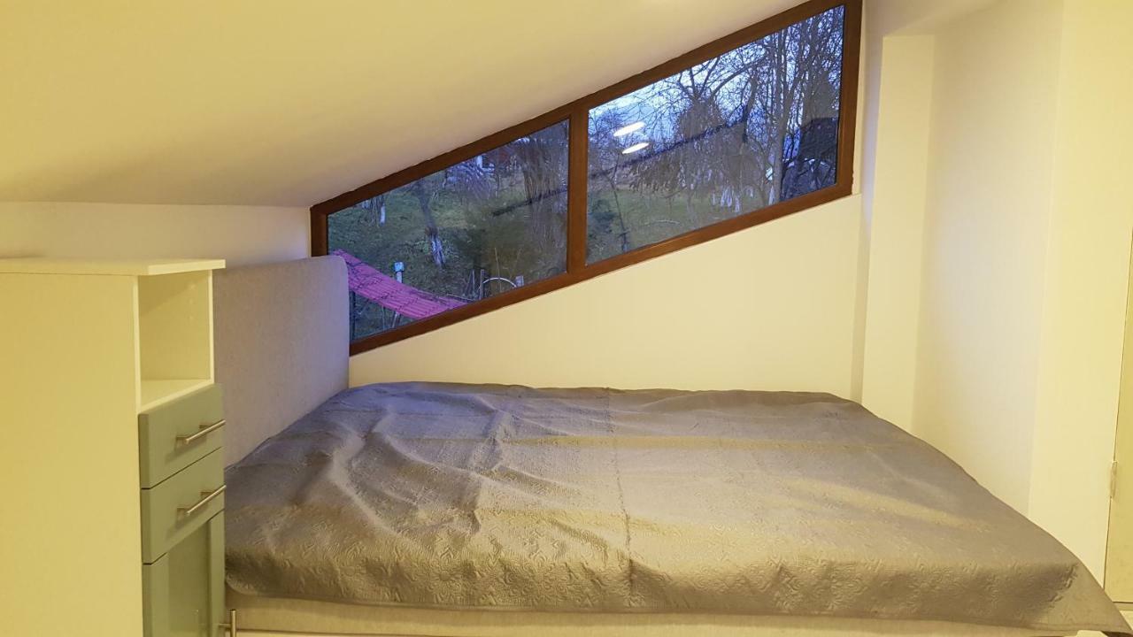 Forest Vibes Cîmpu lui Neag Eksteriør billede