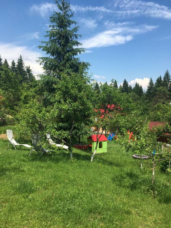 Forest Vibes Cîmpu lui Neag Eksteriør billede