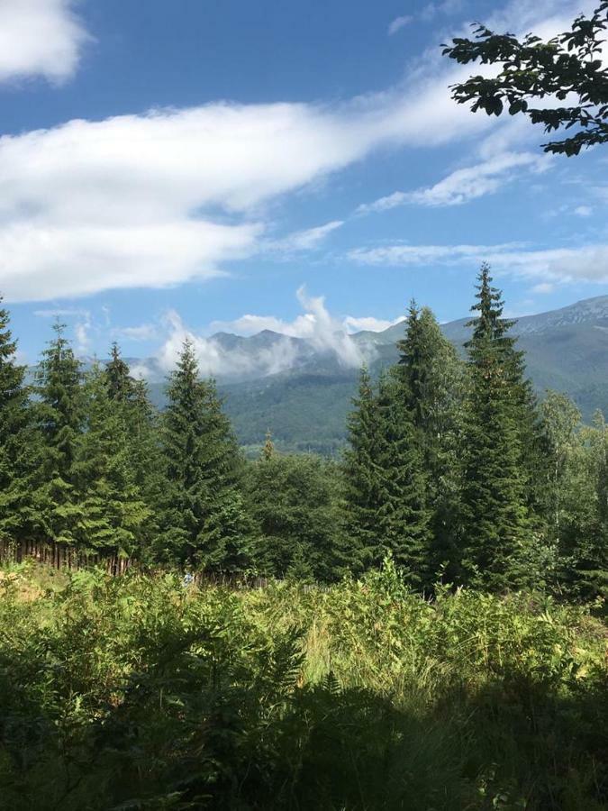 Forest Vibes Cîmpu lui Neag Eksteriør billede