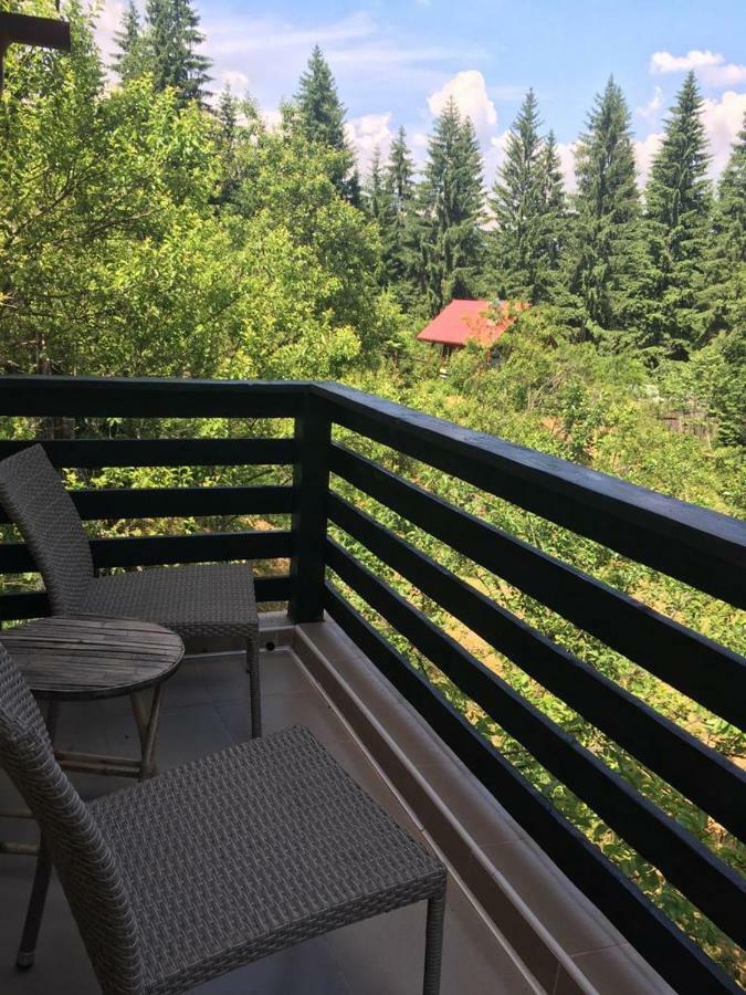 Forest Vibes Cîmpu lui Neag Eksteriør billede