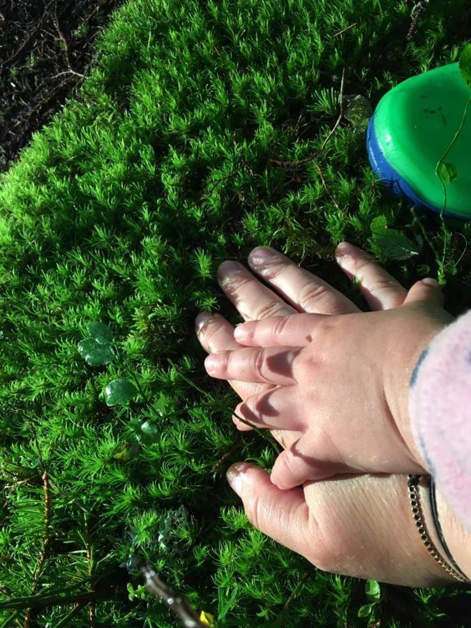 Forest Vibes Cîmpu lui Neag Eksteriør billede