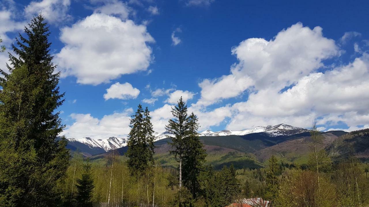 Forest Vibes Cîmpu lui Neag Eksteriør billede